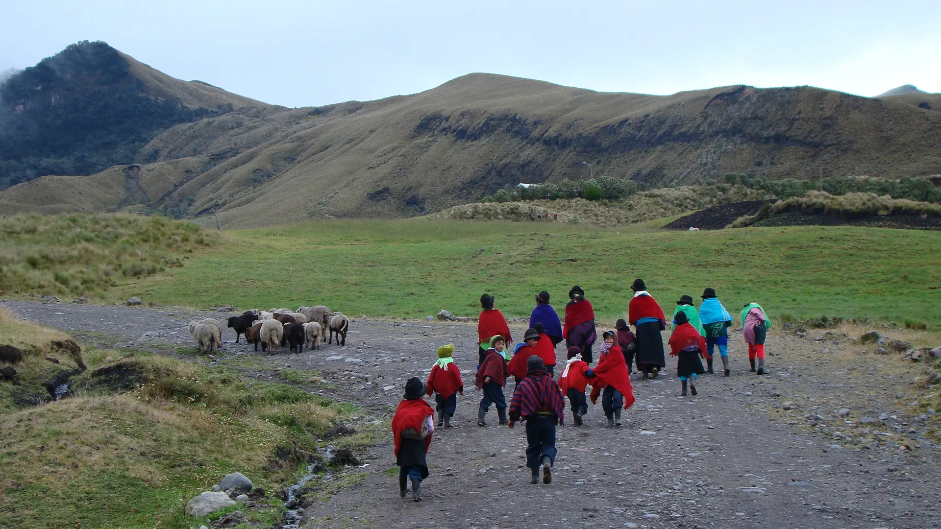 CONOCE LOS PARAMOS DE TUNGURAHUA